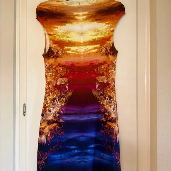 Alexander McQueen Bodycon Mineral Mini Dress - Picture 6 of 9